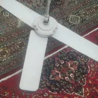 دوتا پنکه سقفی هست سالم در حدنو باقیمت پایین