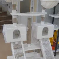 اسکرچر پارادایس|لوازم جانبی حیوانات|تبریز, |دیوار