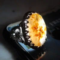 انگشتر|جواهرات|شیراز, انجیر|دیوار