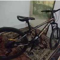 دوچرخه دنده ای. سایز 24