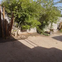 دو منزل مسکونی سرپل ذهاب|فروش خانه و ویلا|سرپل ذهاب, |دیوار