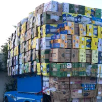 کارتن موزی یا موز|عمدهفروشی|اردبیل, |دیوار