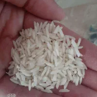 برنج هاشمی معطر و تازه