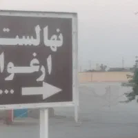 نهال و گل . نهالستان ارغوان