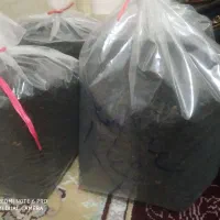 چای بهاره املش خوش عطرچین اول فقط 5 کیلوق 370|خوردنی و آشامیدنی|رشت, حمیدیان|دیوار