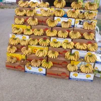 به یک شاگرد برای دستفروشی نیازمندیم
