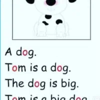 آموزش زبان با تمرکز بر مکالمه واقعی