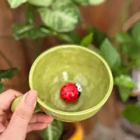 آموزش هنر ریختگری سرامیک در منزل|خدمات آموزشی|تهران, تهرانپارس غربی|دیوار