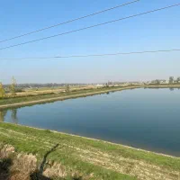 زمین سندتک برگ،ویو دریاچه،حاشیه سود 100٪100 محدود