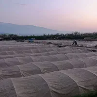 کارگر برای بانک نشا ۲نفر