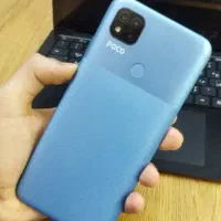 پکوc31