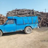 خریداره هرنوع درخت و ریشه یا کوتیح بصورت نقدنقد...|خدمات باغبانی و درختکاری|میاندوآب, |دیوار