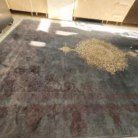 فرش ۶متری سبز پردیسان