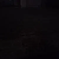 نظافت آپارتمان،(ساختمان) راپله و پارکینگ