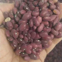 انواع حبوبات ایرانی وخارجی وبرنج کامفیروزی|خوردنی و آشامیدنی|شیراز, شیشهگری|دیوار