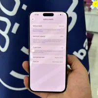 17 pro max|موبایل|قم, چهل درخت‎|دیوار