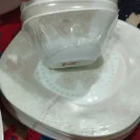 آرکوپال|ظروف سرو و پذیرایی|کوهدشت, |دیوار