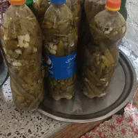 فروش فوری خیارشور ارگانیک تردوخوشمز وکاملابهداشتی