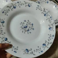 آرکوپال اماراتی