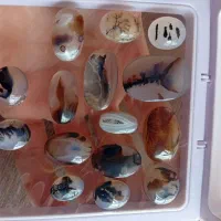 انگشتر و نگین شجر قاین درختی|جواهرات|مشهد, طلاب|دیوار