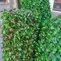 پخش فنس چمنی و فنس برگی سبز و رنگی|مصالح و تجهیزات ساختمان|کرج, دهقان ویلا|دیوار