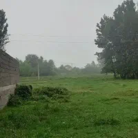 456-متر-زمین-مسکونی-روستای-امشه