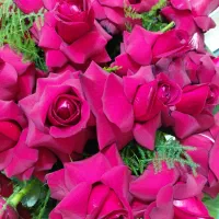 گل طبیعی برای کادوتازه تازه