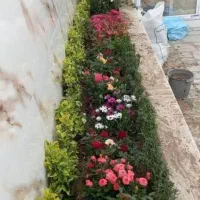 باغبان،باغبانی حرفه ای|خدمات باغبانی و درختکاری|قم, زنبیل آباد|دیوار