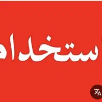 خانم مجرب  برای امور منزل