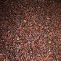 قیصی زردآلوکشمش شیره انگور دوشاب|خوردنی و آشامیدنی|مشگین شهر, |دیوار