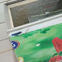 وسایل سبزی مارکت|فروشگاه و مغازه|شیراز, گویم|دیوار