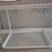 آکواریوم شرکتی