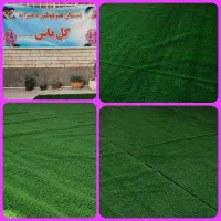 آموزشگاه علمی آزاد گل یاس گنبد|خدمات آموزشی|گنبد کاووس, |دیوار