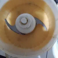 مولینکس سانیو|خردکن، آسیاب، غذاساز|رشت, معلولین|دیوار