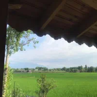 رشت  زمین باپروانه ساخت 2750مترسراوان سنگرسیاهکل