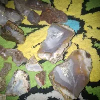 عقیق جاسپر سنگ عقیق شجر|جواهرات|پردیس, فاز ۳|دیوار