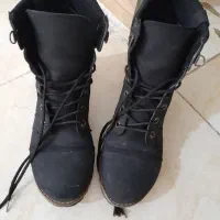 بوت درحد نو