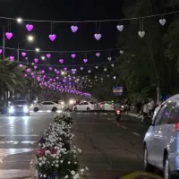 ریسه دکوراتیومبلمان شهری المان نوری المان خاص|ریسه و چراغ تزئینی|تهران, منیریه|دیوار