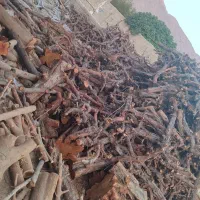 برش و حرص چوب|خدمات باغبانی و درختکاری|بوشهر, |دیوار