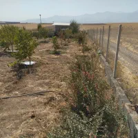 فروش باغ|فروش خانه و ویلا|صالح آباد, |دیوار