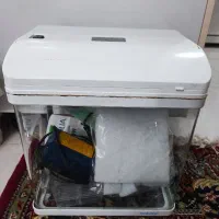 آکواریوم عروسک با متعلقات کامل رایگان|ماهی|رشت, دیانتی|دیوار