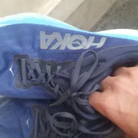 هوکا سایز ۵۰