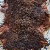 پوست گوسفند دباغی شده