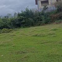 زمین