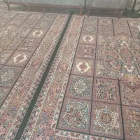 دوعددفرش شش متری|فرش|رشت, پیرکلاچای|دیوار
