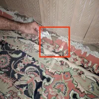 فرش ۵۰۰ شانه مهستان|فرش|گنبد کاووس, |دیوار