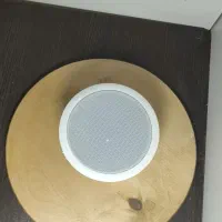 بلندگوی سقفی/باند/اسپیکر/بلندگو/راهبرالکترونیک