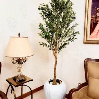 ژورنالی ترین درختچه های زیتون مصنوعی