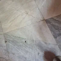 09121056062