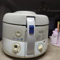 سرخ کن خارجی دلونگی